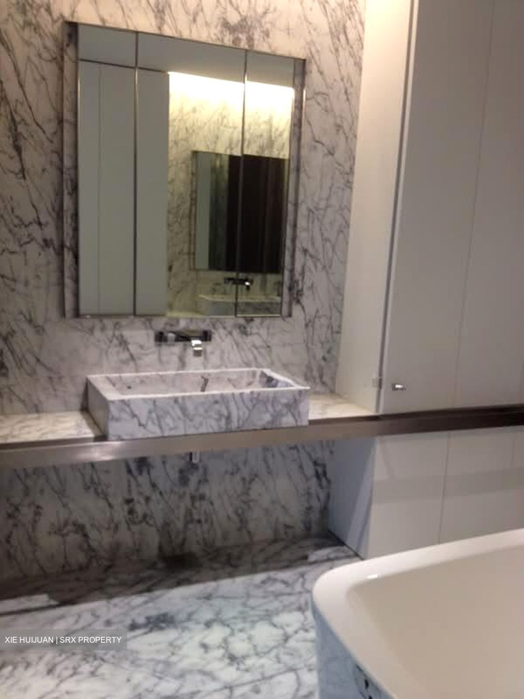 Nassim Park Residences (D10), Condominium #535594431